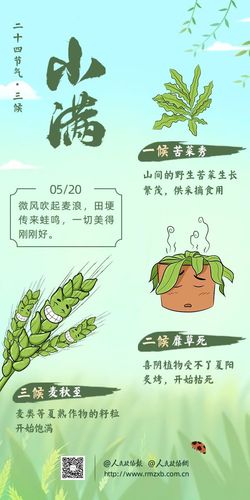 微信圖片_20250211154332