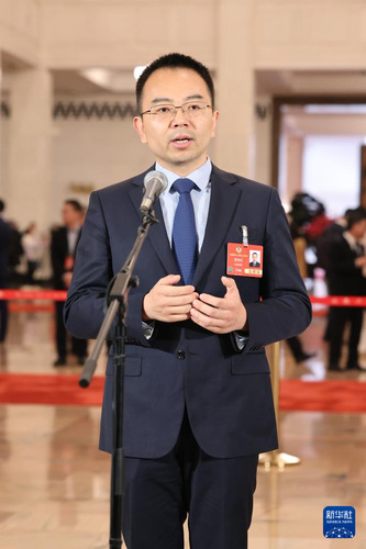 黃綿松