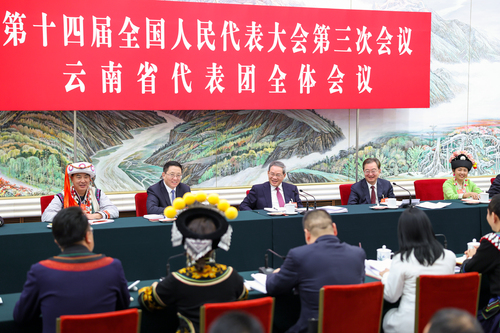 兩會(huì)丨李強(qiáng)參加云南代表團(tuán)審議(6584976)-20250306002202