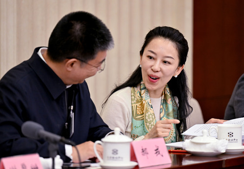 在文藝界小組討論會間隙，郝戎委員（左）和(6582557)-20250306171123