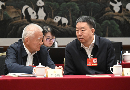 小組討論會間隙，王志剛委員與毛萬春委員在(6599846)-20250306173809
