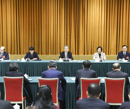 趙樂際參加致公黨、僑聯(lián)、對外友好界委員聯(lián)組會