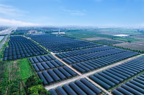 7.浙江健九鶴集團有限公司石斛產(chǎn)業(yè)基地航拍圖