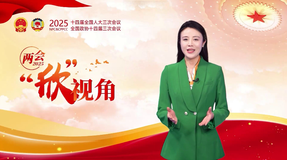 兩會“欣”視角丨數(shù)字背后的思想偉力