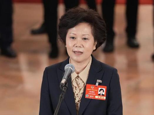 陳清莉委員：希望越來越多臺灣同胞把握好大陸難得的發(fā)展機(jī)遇