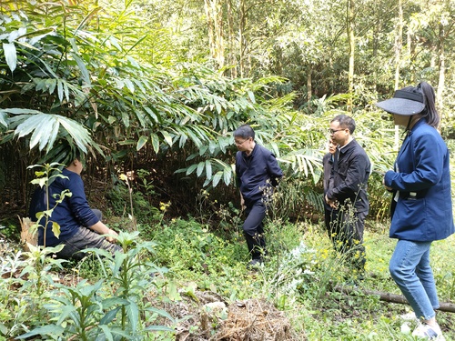 （地方政協）調研林資源家底　走生態綠色助(6915810)-20250403100146