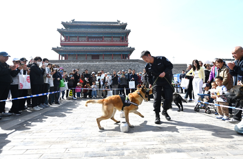 微信截圖_20250415173132