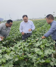 提案辦理有成效丨加強種業原始創新 保障國家糧食安全