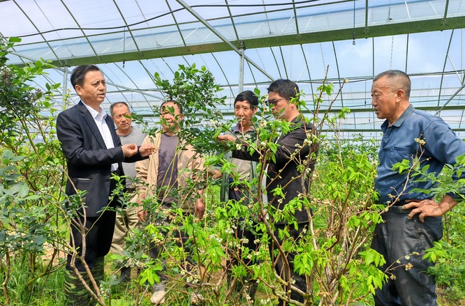 科技服務助農增收