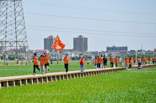 微信截圖_20250513150216