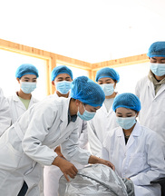 教育強國建設委員說·聚焦聯組會①|創建“行業聯盟” 為職業教育人才培養科學布局