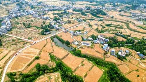 “豐”景如畫(7265941)-20250520091035