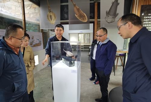 （地方政協）助力打造珠江源文旅名片(7253488)-20250520101609