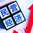 法治護航民營經濟行穩致遠