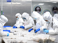 山東日照：海洋經濟加速跑 藍色動能正澎湃