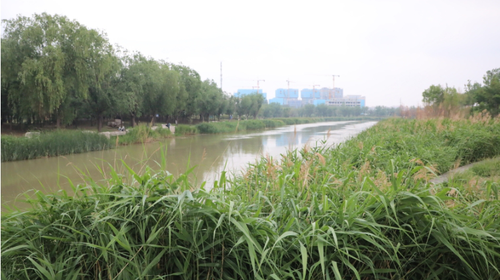 微信截圖_20250617161517