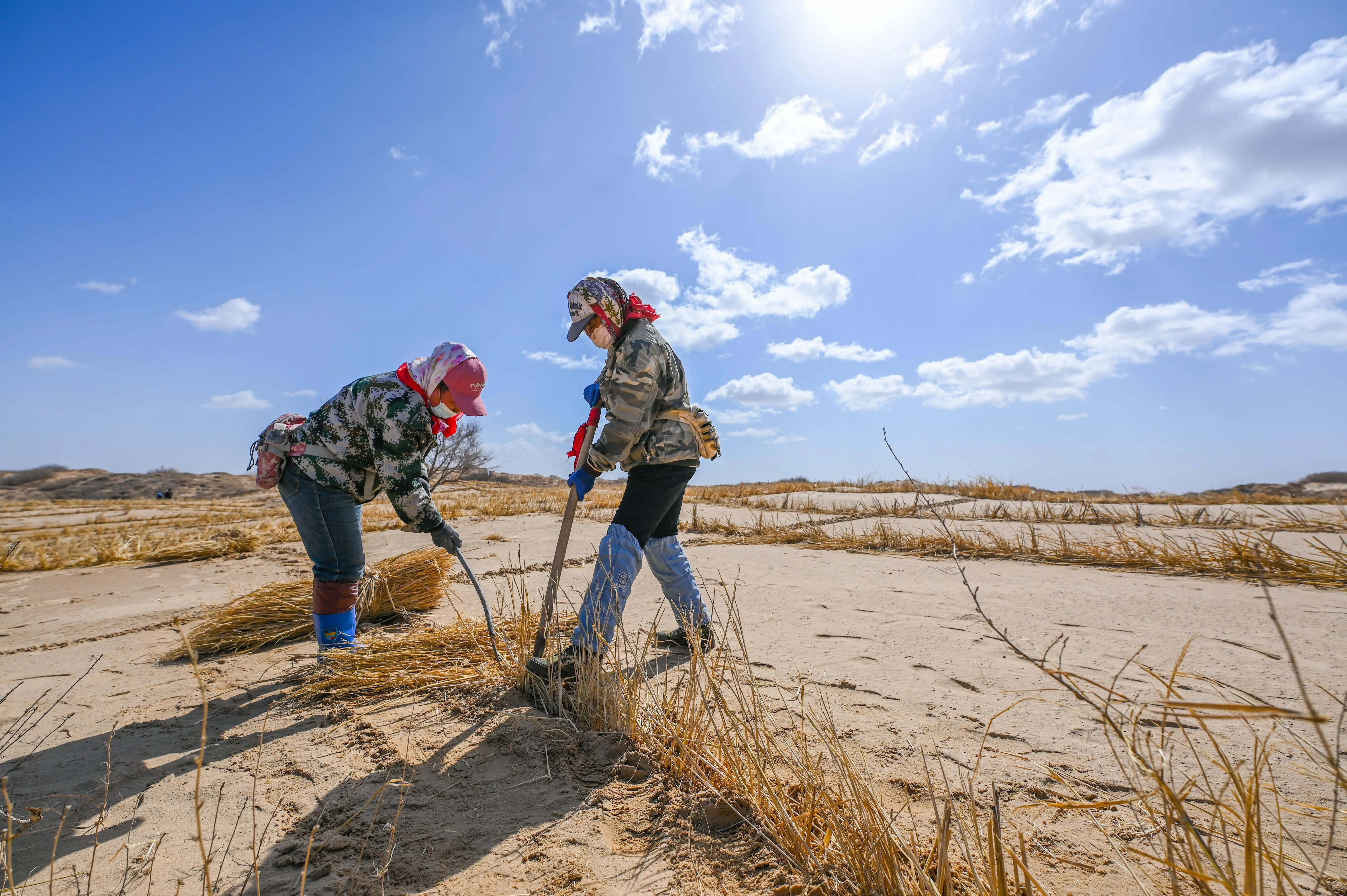 中國十余年間完成沙化土地治理3.65億畝