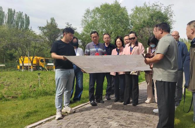 寧夏金鳳區政協開展濕地保護視察