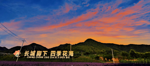 微信截圖_20250721091131