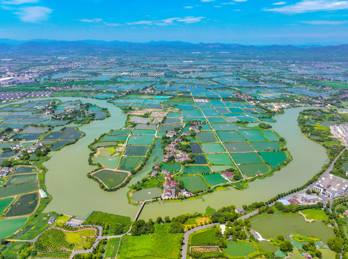 （推薦）千年桑基魚塘 生態(tài)美景如畫(7968815)-20250815071514